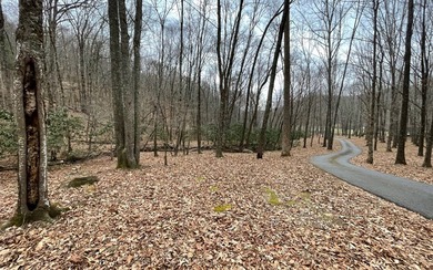 BEAUTIFULLY WOODED LOT IN UPSCALE SUBDIVISION IN THE MOUNTAINS on Mountain Harbour Golf Club in North Carolina - for sale on GolfHomes.com, golf home, golf lot