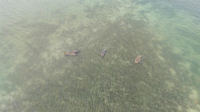 Nestled in the heart of historic Placida, this spacious 0 on Rotonda Golf and Country Club The Links Course in Florida - for sale on GolfHomes.com, golf home, golf lot