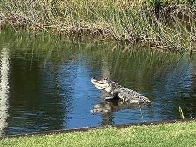 It's all about the views! This 2nd-floor Brookside condo on Heritage Palms Golf and Country Club in Florida - for sale on GolfHomes.com, golf home, golf lot