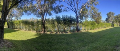 MOTIVATED SELLER! Offering $2,000 towards buyers' closing costs on Pelican Preserve Golf Club in Florida - for sale on GolfHomes.com, golf home, golf lot