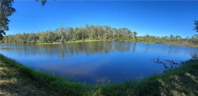 MOTIVATED SELLER! Offering $2,000 towards buyers' closing costs on Pelican Preserve Golf Club in Florida - for sale on GolfHomes.com, golf home, golf lot