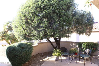 One Owner, impeccably maintained 2 bedrm,2 bath, 1278sq ft home on Sun City Grand Golf Couse and Club in Arizona - for sale on GolfHomes.com, golf home, golf lot