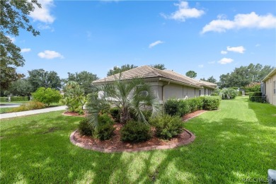 This spectacular upgraded custom built pool home located in on Skyview At Terra Vista Golf and Country Club in Florida - for sale on GolfHomes.com, golf home, golf lot