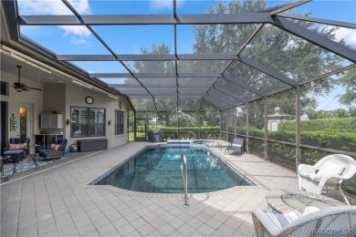 This spectacular upgraded custom built pool home located in on Skyview At Terra Vista Golf and Country Club in Florida - for sale on GolfHomes.com, golf home, golf lot