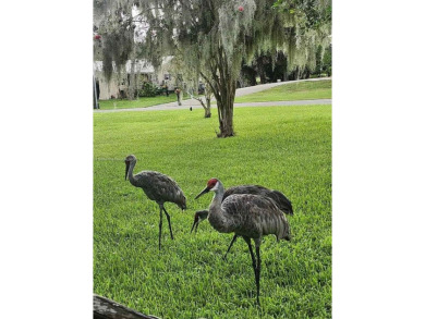 Investors!!!! Property is ready to rebuild up the parts damaged on Plantation Inn and Golf Resort  in Florida - for sale on GolfHomes.com, golf home, golf lot