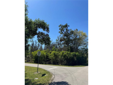 Prime opportunity to own two adjacent residential lots in on Seminole Lakes Country Club in Florida - for sale on GolfHomes.com, golf home, golf lot