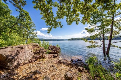 Experience the pinnacle of lakefront luxury in this furnished on  in Arkansas - for sale on GolfHomes.com, golf home, golf lot