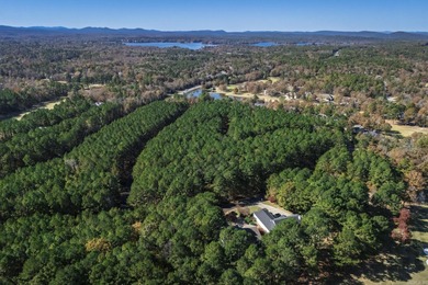 LUXURY LIVING ON THE FAIRWAY AT DIAMANTE COUNTRY CLUB! on Diamante Golf and Country Club in Arkansas - for sale on GolfHomes.com, golf home, golf lot