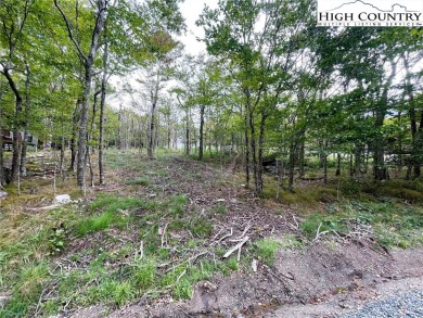 This home checks all the boxes! And with a substantial price on Beech Mountain Club in North Carolina - for sale on GolfHomes.com, golf home, golf lot