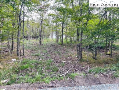 This home checks all the boxes! And with a substantial price on Beech Mountain Club in North Carolina - for sale on GolfHomes.com, golf home, golf lot