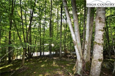 Road is now paved to these 2 lots and next year the road paving on Beech Mountain Club in North Carolina - for sale on GolfHomes.com, golf home, golf lot