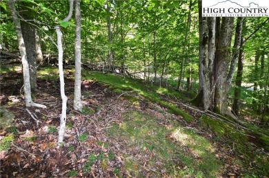 Road is now paved to these 2 lots and next year the road paving on Beech Mountain Club in North Carolina - for sale on GolfHomes.com, golf home, golf lot