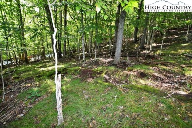 Road is now paved to these 2 lots and next year the road paving on Beech Mountain Club in North Carolina - for sale on GolfHomes.com, golf home, golf lot