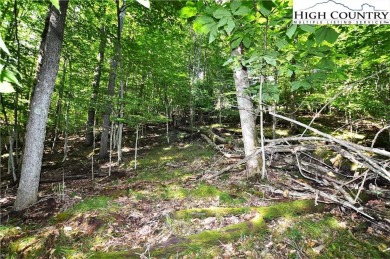 Road is now paved to these 2 lots and next year the road paving on Beech Mountain Club in North Carolina - for sale on GolfHomes.com, golf home, golf lot