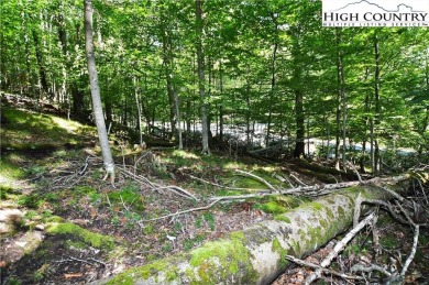 Road is now paved to these 2 lots and next year the road paving on Beech Mountain Club in North Carolina - for sale on GolfHomes.com, golf home, golf lot