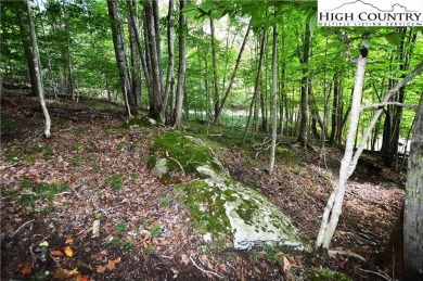 Road is now paved to these 2 lots and next year the road paving on Beech Mountain Club in North Carolina - for sale on GolfHomes.com, golf home, golf lot