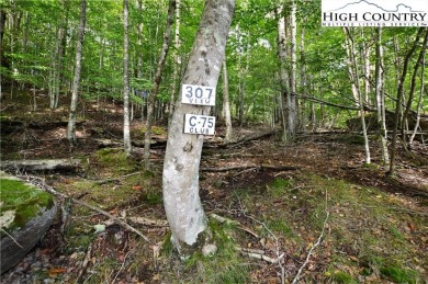 Road is now paved to these 2 lots and next year the road paving on Beech Mountain Club in North Carolina - for sale on GolfHomes.com, golf home, golf lot