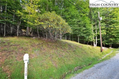 Road is now paved to these 2 lots and next year the road paving on Beech Mountain Club in North Carolina - for sale on GolfHomes.com, golf home, golf lot