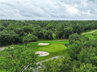 This stunning, professionally designed ranch-style home blends on Sea Palms Golf and Tennis Resort in Georgia - for sale on GolfHomes.com, golf home, golf lot