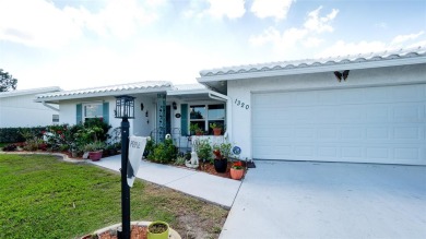 Stunning Move-In Ready Home in River Isles - 55+ Community!

 on River Isles Golf Club in Florida - for sale on GolfHomes.com, golf home, golf lot