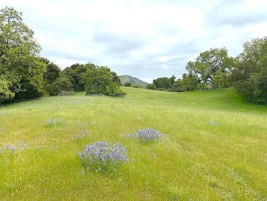 Soak up all day sun from the gently rolling lush savanna of this on The Preserve Golf Club in California - for sale on GolfHomes.com, golf home, golf lot