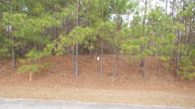 Nice golf course lot facing the 18th hole in Chapel Creek on Santee National Golf Course in South Carolina - for sale on GolfHomes.com, golf home, golf lot
