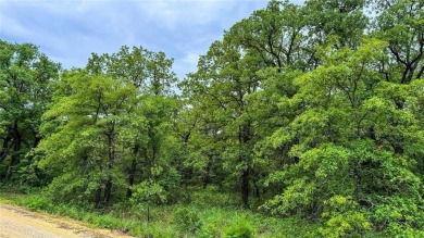 Build your dream home or vacation retreat on these two adjoining on Nocona Hills Golf Course in Texas - for sale on GolfHomes.com, golf home, golf lot