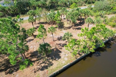 Seize the opportunity to own a prime .46-acre waterfront lot on Sabal Trace Golf and Country Club in Florida - for sale on GolfHomes.com, golf home, golf lot