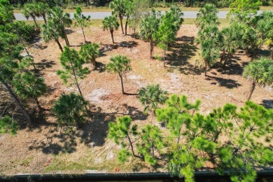 Seize the opportunity to own a prime .46-acre waterfront lot on Sabal Trace Golf and Country Club in Florida - for sale on GolfHomes.com, golf home, golf lot