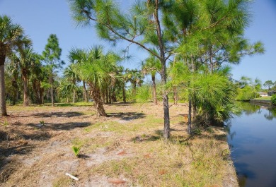 Seize the opportunity to own a prime .46-acre waterfront lot on Sabal Trace Golf and Country Club in Florida - for sale on GolfHomes.com, golf home, golf lot