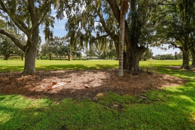 Under contract-accepting backup offers. Storm-tested! No damage on East Lake Woodlands Country Club in Florida - for sale on GolfHomes.com, golf home, golf lot