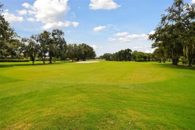 Under contract-accepting backup offers. Storm-tested! No damage on East Lake Woodlands Country Club in Florida - for sale on GolfHomes.com, golf home, golf lot