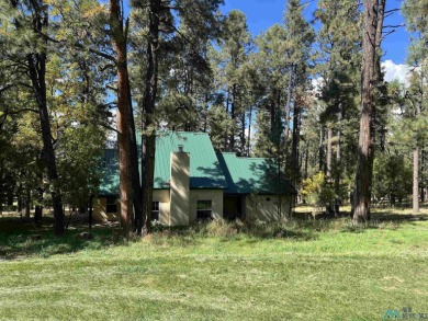 Discover this sweet mountain cabin perfectly situated along the on Pendaries Village Community Assoc. in New Mexico - for sale on GolfHomes.com, golf home, golf lot