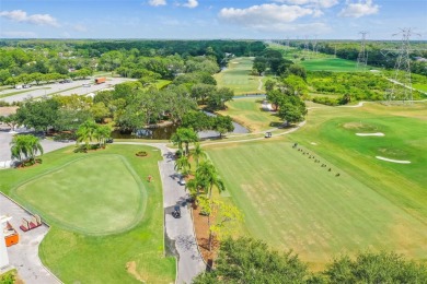 Under contract-accepting backup offers. Storm-tested! No damage on East Lake Woodlands Country Club in Florida - for sale on GolfHomes.com, golf home, golf lot