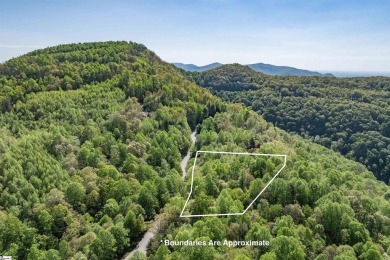 Discover your dream retreat on this stunning 0.95-acre wooded on The Cliffs Valley in North Carolina - for sale on GolfHomes.com, golf home, golf lot