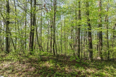 Discover your dream retreat on this stunning 0.95-acre wooded on The Cliffs Valley in North Carolina - for sale on GolfHomes.com, golf home, golf lot