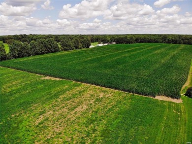 Discover the perfect canvas for your dream home on this on Saint Elmo Golf Club in Illinois - for sale on GolfHomes.com, golf home, golf lot