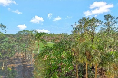 Indulge in the ultimate resort lifestyle at Tiburon, home of the on Tiburon Golf Club in Florida - for sale on GolfHomes.com, golf home, golf lot