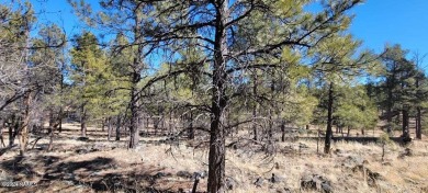 This heavily treed 4.17 acres of lot is located, south and west on Elephant Rocks at Williams in Arizona - for sale on GolfHomes.com, golf home, golf lot