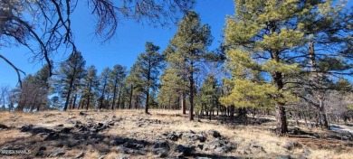 This heavily treed 4.17 acres of lot is located, south and west on Elephant Rocks at Williams in Arizona - for sale on GolfHomes.com, golf home, golf lot