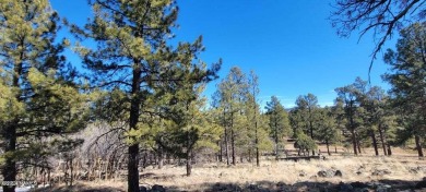 This heavily treed 4.17 acres of lot is located, south and west on Elephant Rocks at Williams in Arizona - for sale on GolfHomes.com, golf home, golf lot