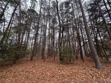 Build your next home on this .21 acre lot located in the on Carolina Trace Country Club in North Carolina - for sale on GolfHomes.com, golf home, golf lot