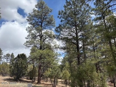 New Villas II Lot Release in Torreon overlooking Tyler Park! on Torreon Golf Club in Arizona - for sale on GolfHomes.com, golf home, golf lot