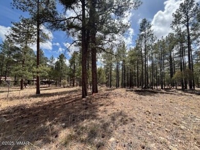 New Villas II Lot Release in Torreon overlooking Tyler Park! on Torreon Golf Club in Arizona - for sale on GolfHomes.com, golf home, golf lot