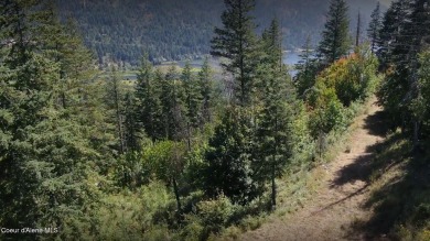 One of 3 lots in the Idaho Club over 3 acres in size. This 3.05 on The Idaho Club in Idaho - for sale on GolfHomes.com, golf home, golf lot