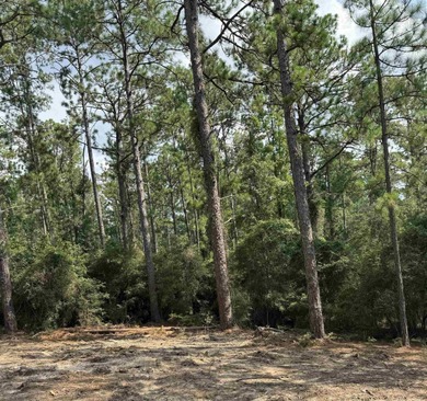 Located on a quiet cul-de-sac in the desirable Rayburn Country on Rayburn Country Club in Texas - for sale on GolfHomes.com, golf home, golf lot