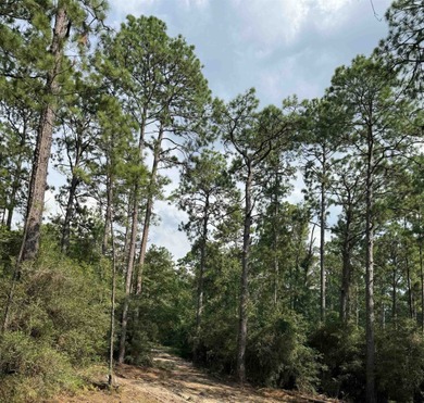 Located on a quiet cul-de-sac in the desirable Rayburn Country on Rayburn Country Club in Texas - for sale on GolfHomes.com, golf home, golf lot