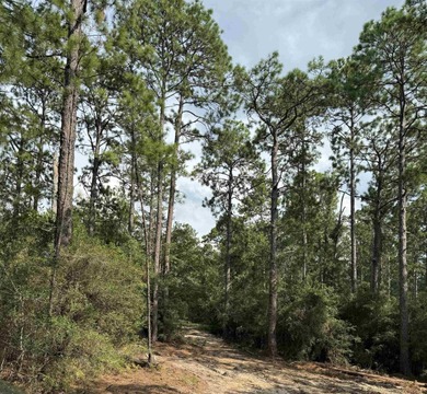 Located on a quiet cul-de-sac in the desirable Rayburn Country on Rayburn Country Club in Texas - for sale on GolfHomes.com, golf home, golf lot