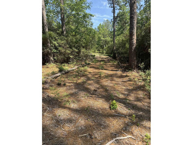 Located on a quiet cul-de-sac in the desirable Rayburn Country on Rayburn Country Club in Texas - for sale on GolfHomes.com, golf home, golf lot