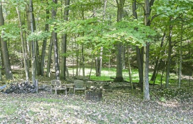 Welcome to Timber Cottage - This charming log home, built in on Apple Valley Golf Course in Ohio - for sale on GolfHomes.com, golf home, golf lot